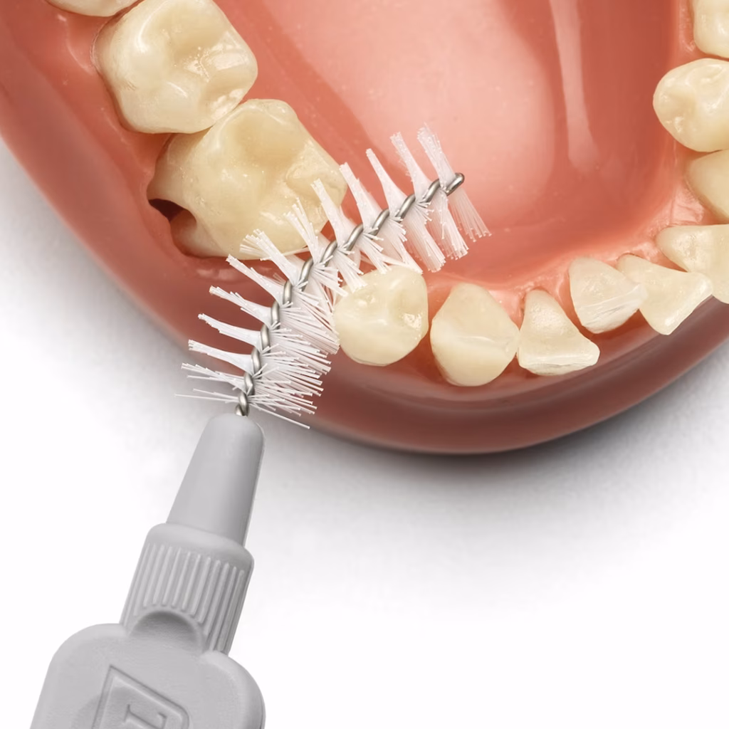 TEPE interdental brush demo